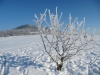 da ist wohl was schiefgegangen :-)